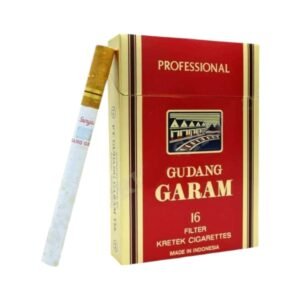 Garam Profesional Red (16มวน)
