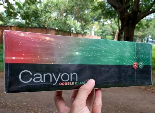 Canyon Double Strawberry & Mint 🍓💨