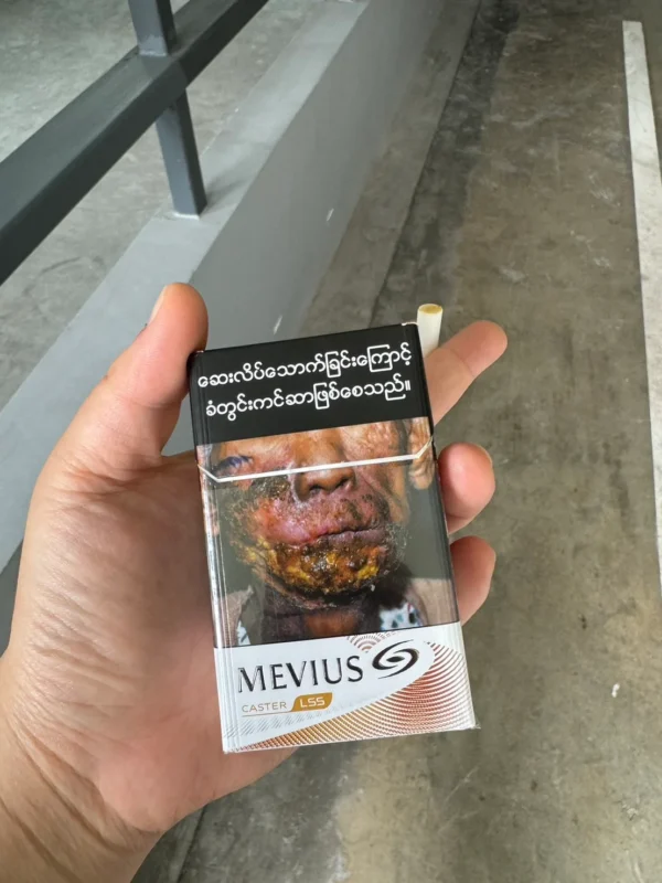 Mevius Caster เปรียบเทียบราคา ⚖️