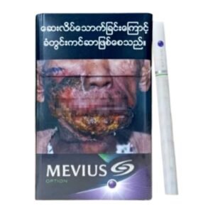 Mevius Option Blueberry & Menthol ส่งฟรี