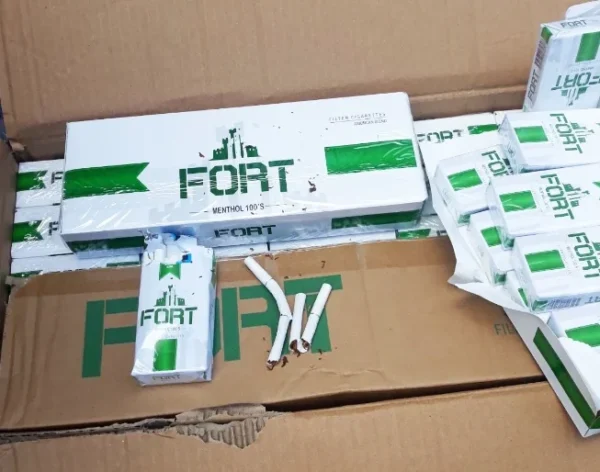 Fort Menthol 2025 📅