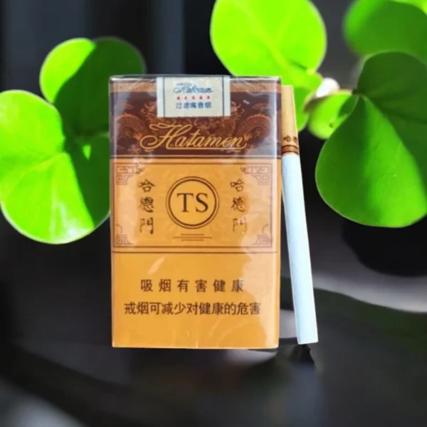 Hatamen ประสบการณ์การสูบ 💨