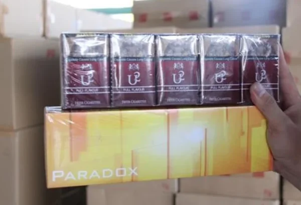 Paradox Yellow คุณภาพ