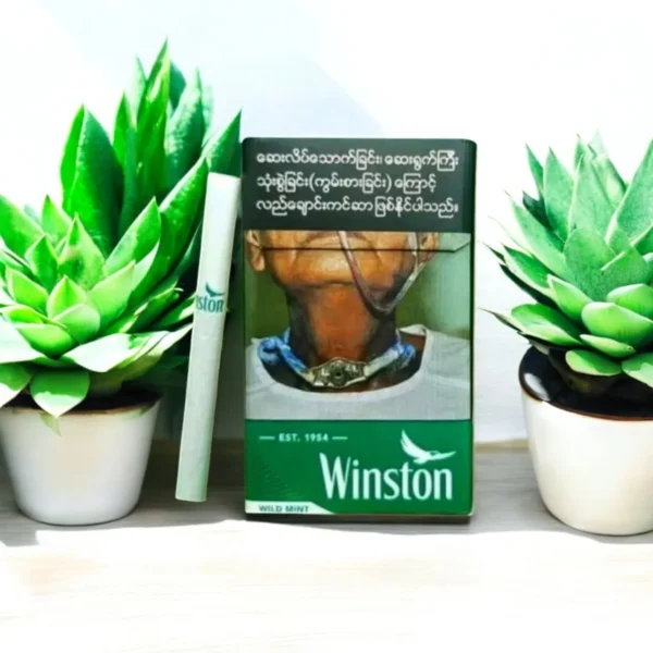 Winston Wild Mint แบรนด์
